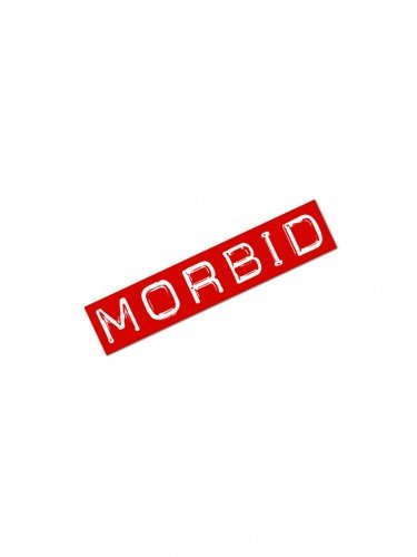 Morbid fiber Carbon 14 Red Sticker